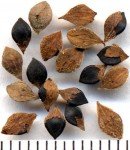 macheti-chati-bhaji-2